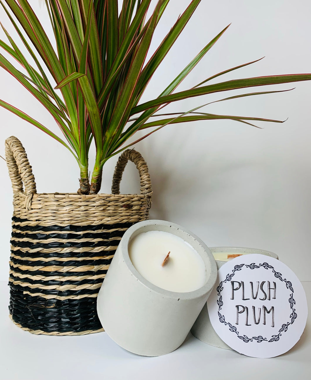 Plush Plum Concrete Soy Wax Candle (4 oz)