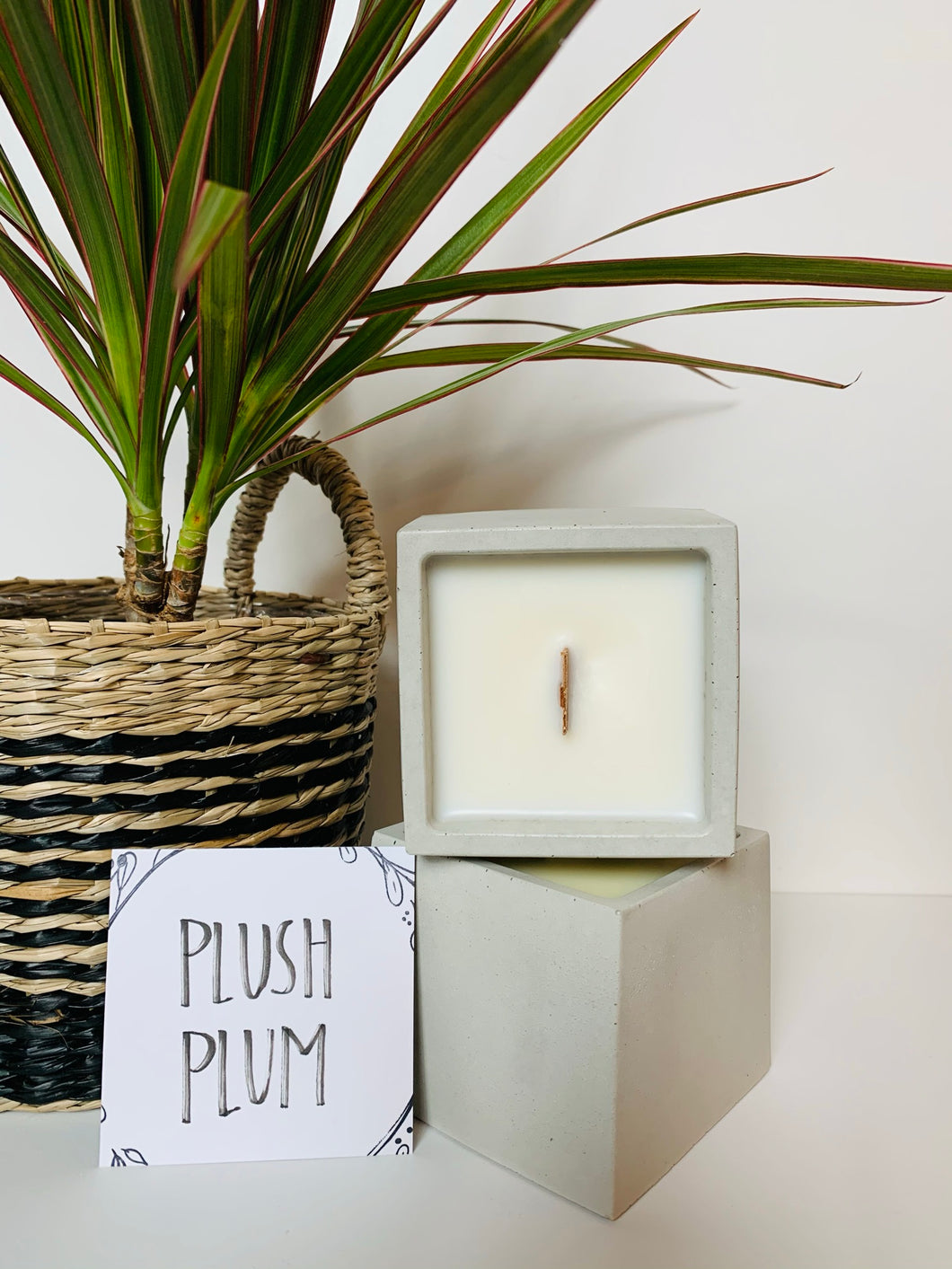 Plush Plum Concrete Soy Wax Candle (5 oz)